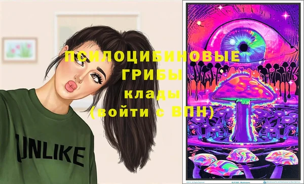 хмурый Армянск