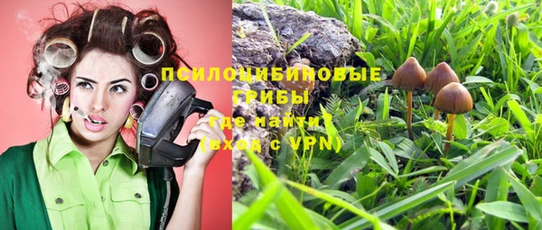 ПСИЛОЦИБИНОВЫЕ ГРИБЫ Алексеевка