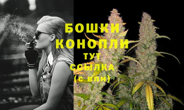 PSILOCYBIN Арсеньев