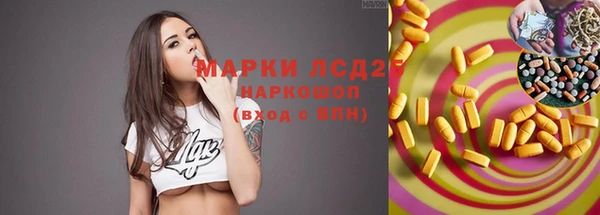 PSILOCYBIN Арсеньев