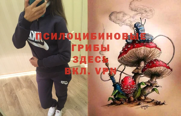 PSILOCYBIN Арсеньев